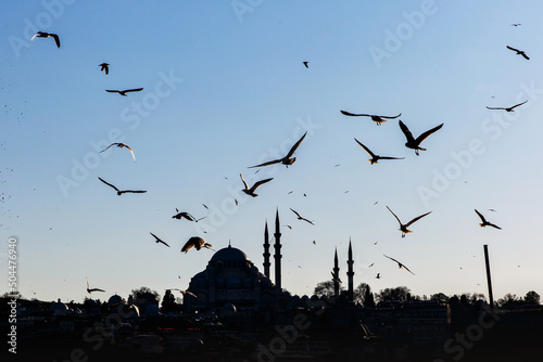 Photography Istanbul cityscape - Suleymaniye Mosque with a flock of birds