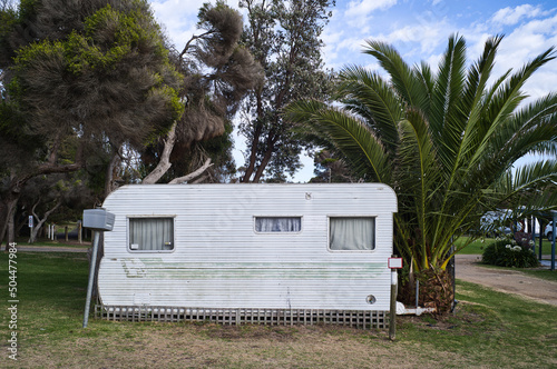 Old caravan with huge palm alongside photo