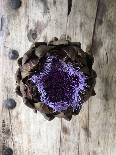 An artichokes magic photo