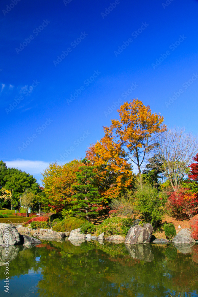 Obraz premium びわこ文化公園