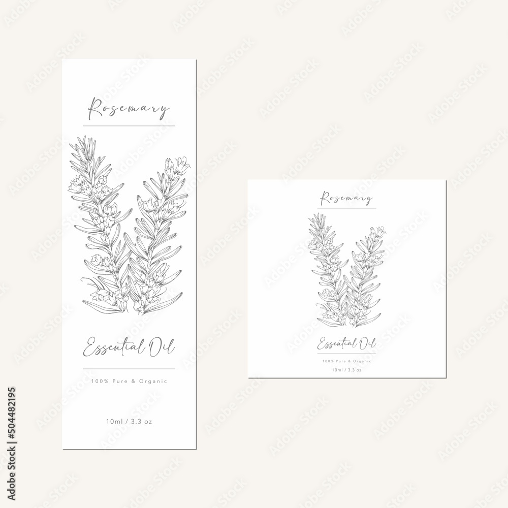 essential oil bottle design with hand drawn illustration of rosemary