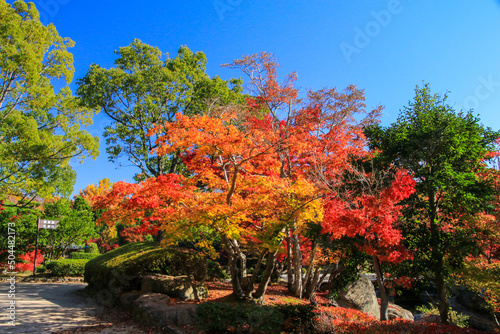 びわこ文化公園