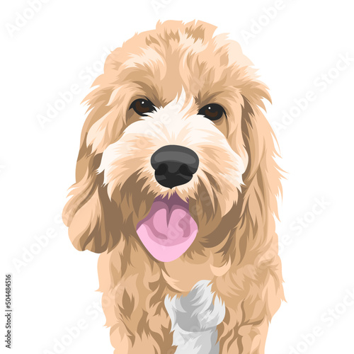 puppy with a toy