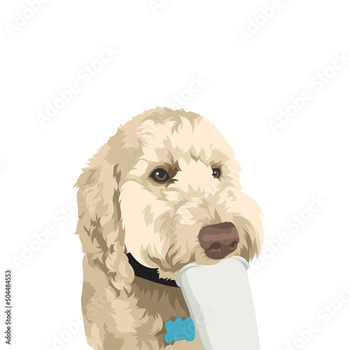 white dog with a bone