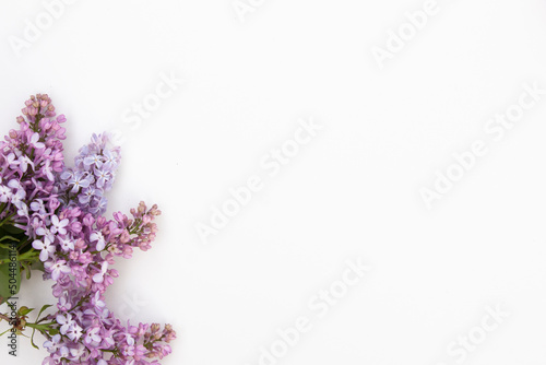 Lilac on white