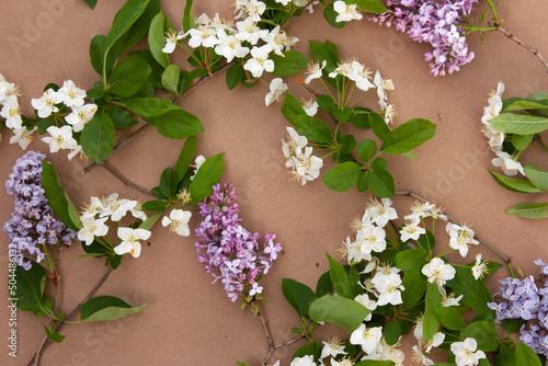 Lilacs and crabapple blossoms