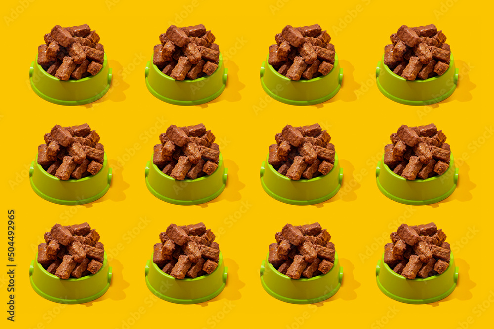 dog bowls with food dog bowls with food