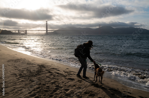Jules and their Siberian Husky playing by Golden Gate Bridge beach  photo