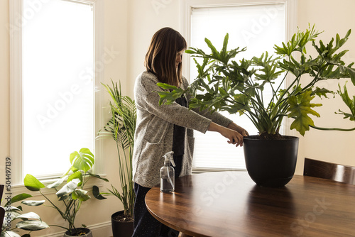 Woman taking care of houseplants 