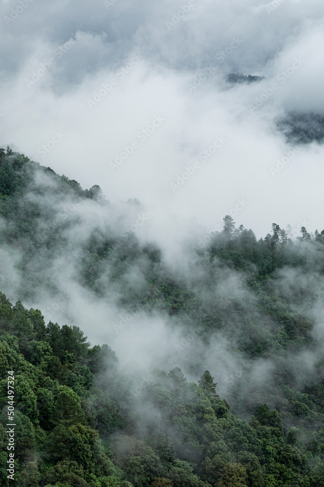 Mist covered mountain landscape Mist covered mountain landscape