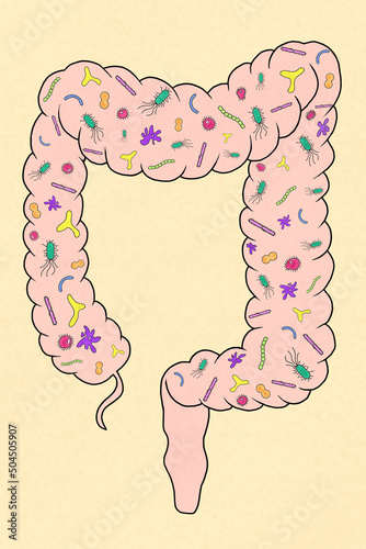 Picture of large intestine with bacteria
