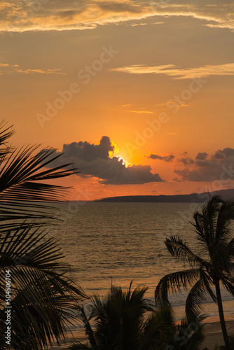 Sunset over Ocean with Palm Trees