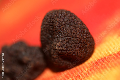 Black wild summer truffles close up family tuberaceae botanical modern high quality big size background prints kitchen home decoration photo