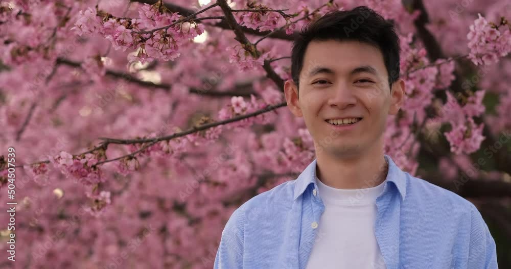 happy smiling handsome Asian young man, with beautiful pink sakura flower tree in spring. Slow motion happy smiling handsome Asian young man, with beautiful pink sakura flower tree in spring. Slow motion