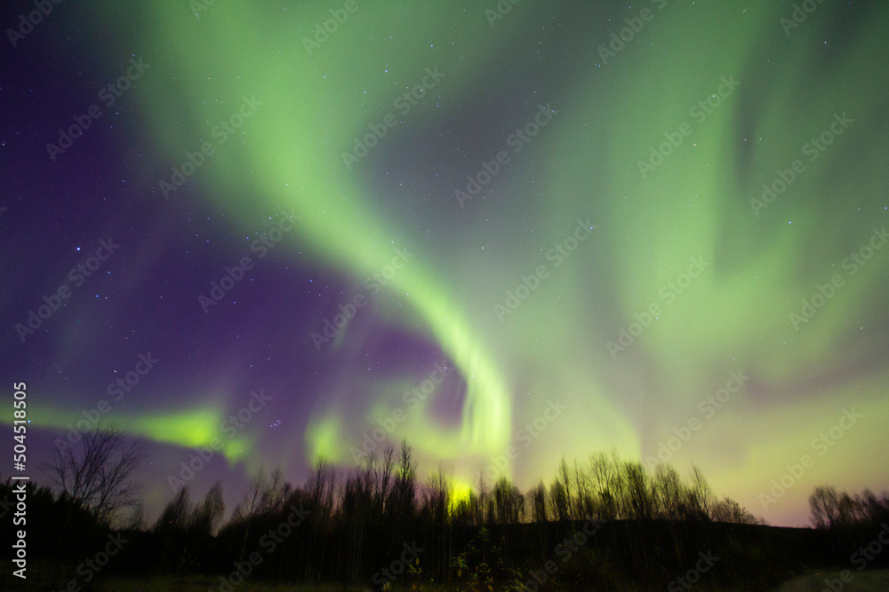 Northern Lights Creates a Display of Light and Color On the Starry Sky Northern Lights Creates a Display of Light and Color On the Starry Sky