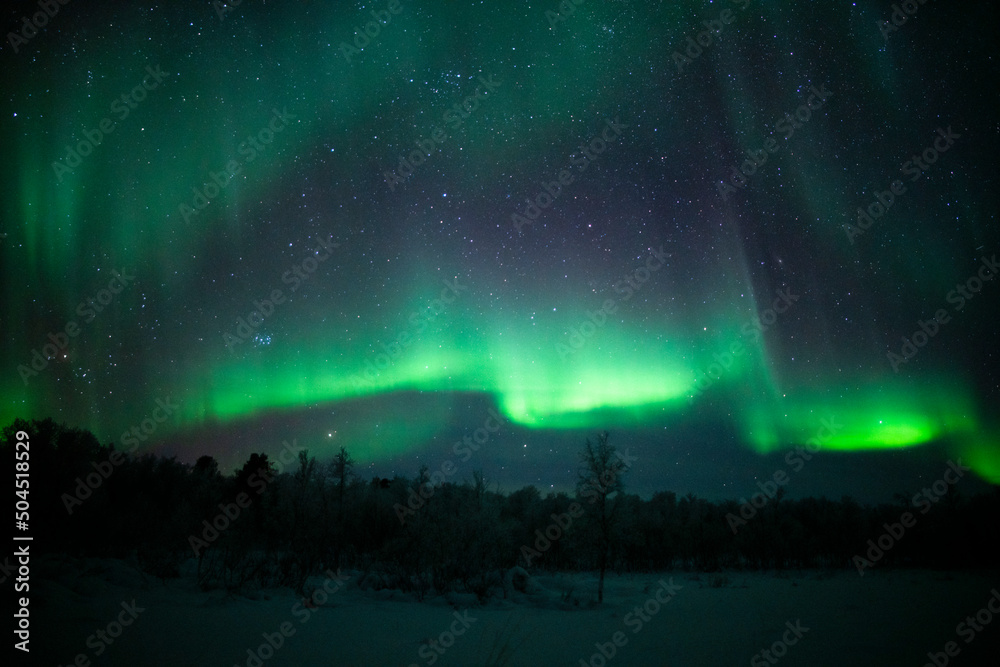 Northern Lights Creates a Display of Light and Color On the Starry Sky Northern Lights Creates a Display of Light and Color On the Starry Sky