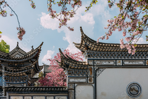 Cherry blossoms with traditional Chinese Buildings. photo