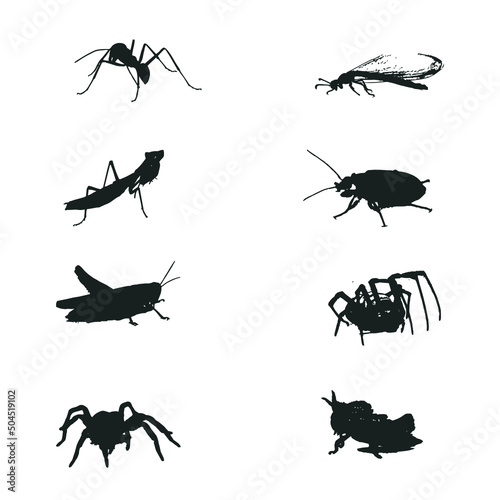 Insect set vector silhouette on white background © E.H Liton