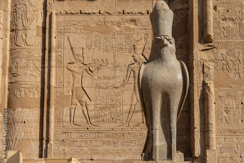 An ancient granite statue of a falcon in a crown on the background of the Temple of Horus in Edfu. Full-face view. Carved drawings of gods and hieroglyphs are visible on the stone wall. Egypt photo