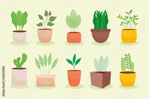 indoor plants icon set
