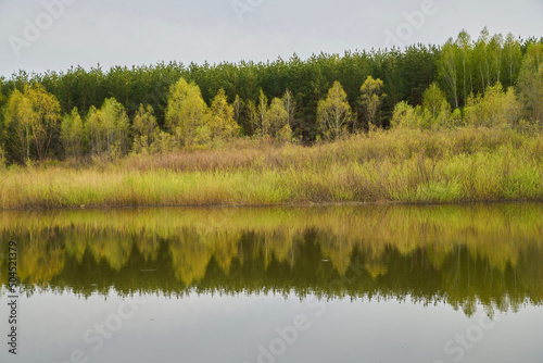 Trees on the background of the lake in cloudy weather. © denis