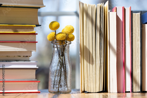 Books lined up on flowers photo