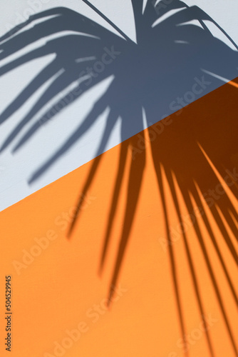 palm shade