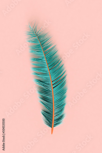 blue feather on a pink background. 3d render photo