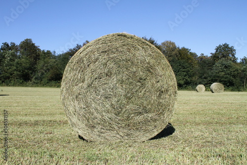 hay bale in the field. photo