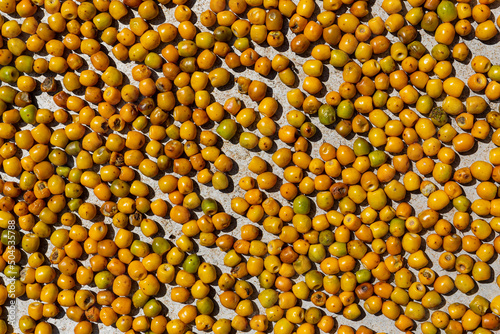 Closeup of the texture of nance fruit  photo