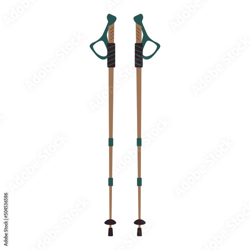Nordic walking poles. Ski or trekking equipment.