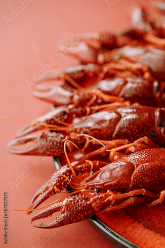 Crayfish photo