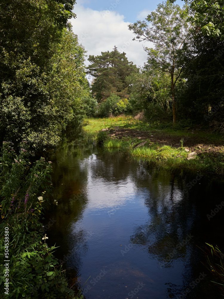 Summer's countryside in Mayo county, Ireland