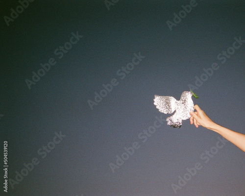 Hand with plastic dove with branch of rucola 