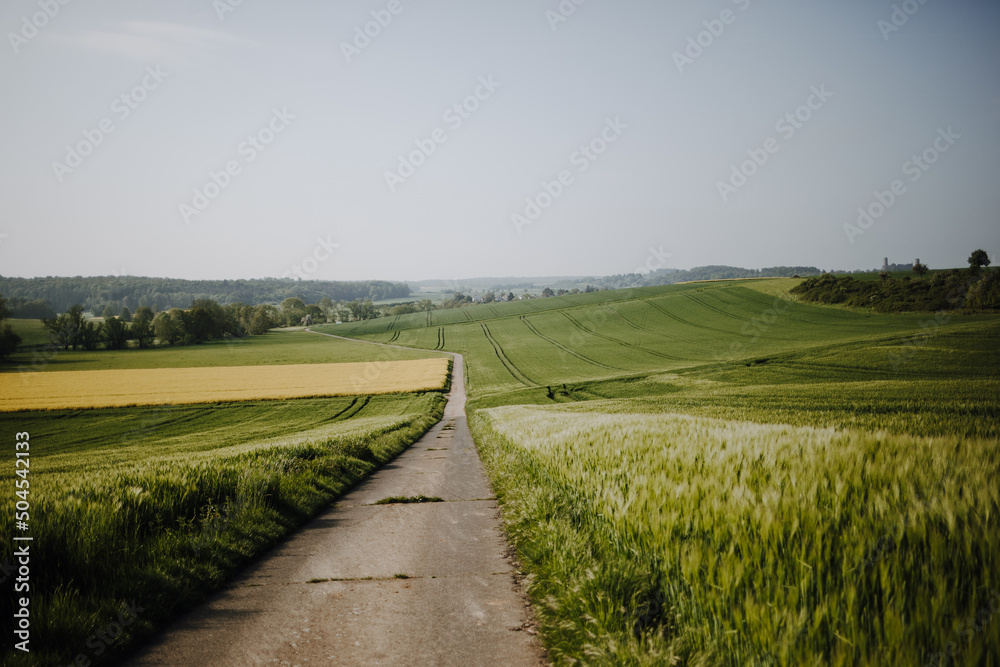 View over the wheat field in the direction of Münzenberg and Münzenberg Castle in the Wetterau region of Hesse. In between is a field of rapeseed. View over the wheat field in the direction of Münzenberg and Münzenberg Castle in the Wetterau region of Hesse. In between is a field of rapeseed.