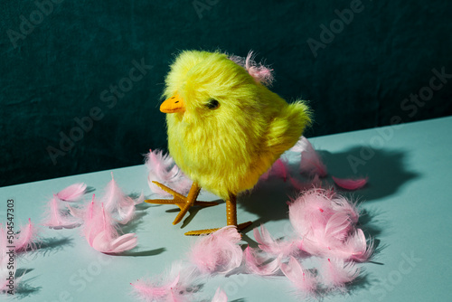 yellow teddy chick and pink feathers photo