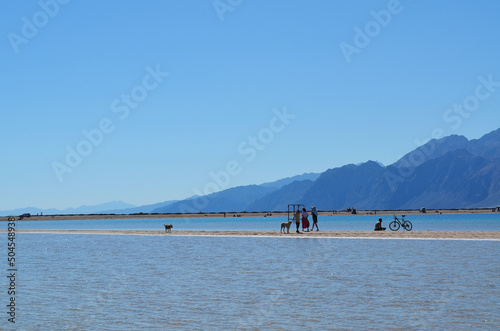 Bild auf Leinwand People are relaxing on the spit dune in the Red Sea