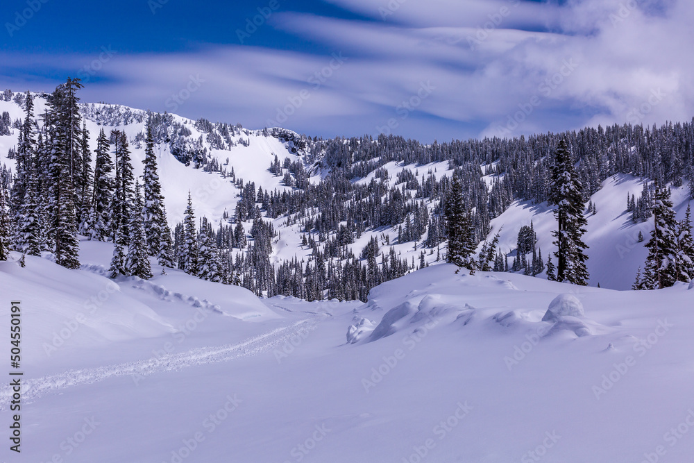 A trail of footprints in the Snow