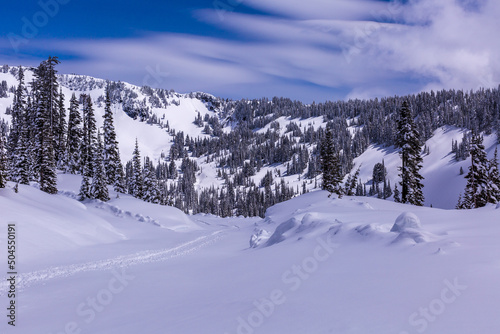 Wallpaper Mural A trail of footprints in the Snow Torontodigital.ca