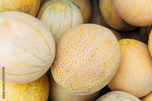 Cantaloupe melons background photo