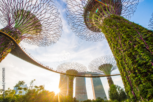 Garden By The Bay in Singapore