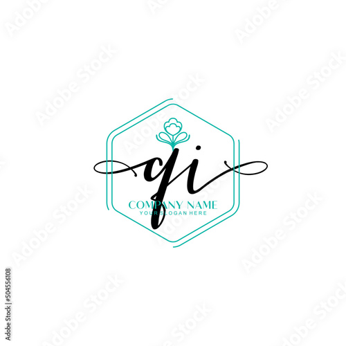 QI signature logo template vector