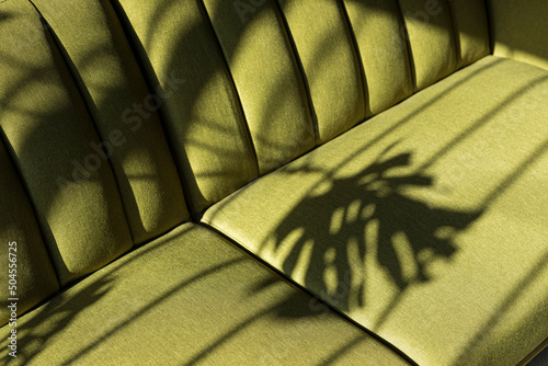 A beautiful light on a green couch with a shadow plant on it photo