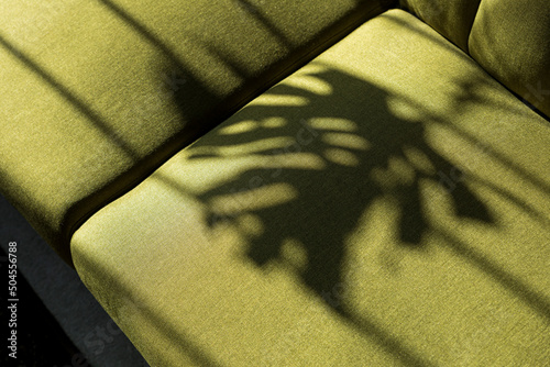 A green couch with the shadow of a monstera plant in it in a room