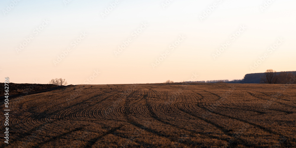 Field with tractor tracks under the evening sky
