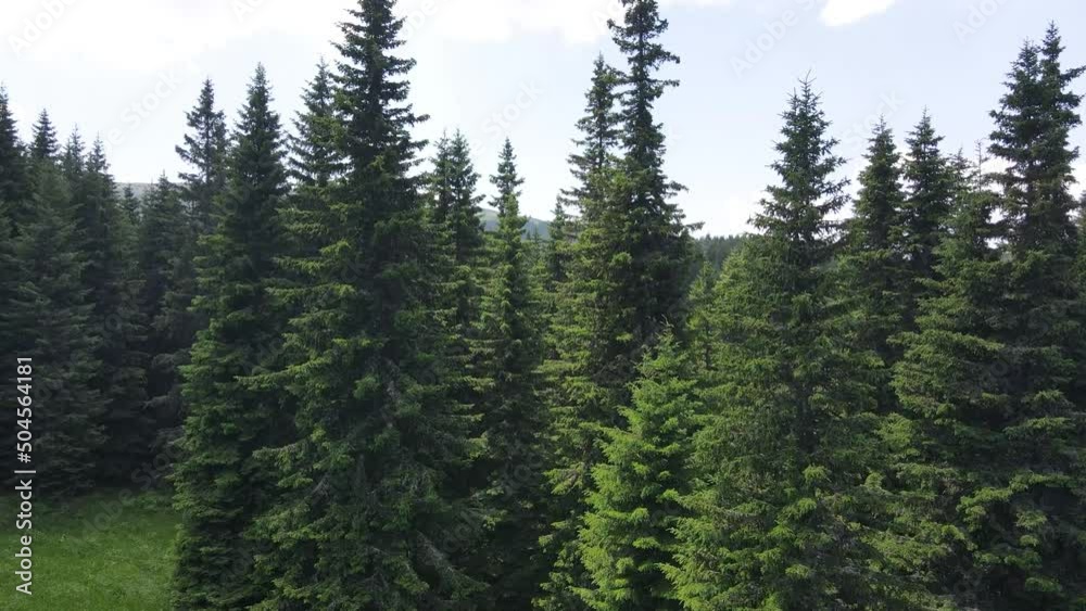 Aerial view of Konyarnika area at Vitosha Mountain, Sofia City Region, Bulgaria