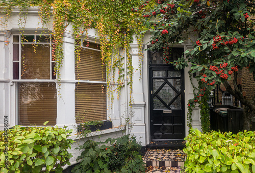 London front garden