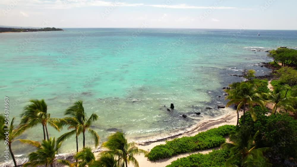 A paradisical tropical beach with palm trees then a turquoise ocean with amazingly clear water - aerial flyover A paradisical tropical beach with palm trees then a turquoise ocean with amazingly clear water - aerial flyover
