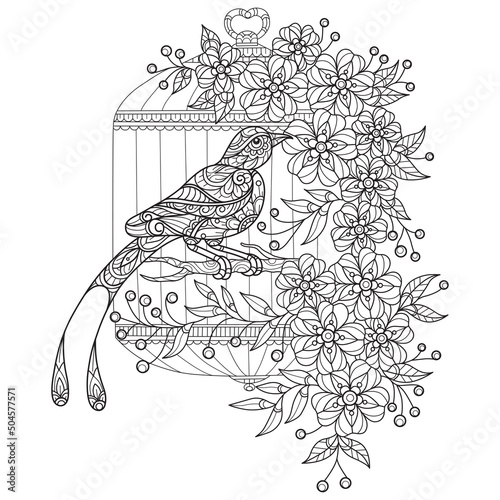 Bird and flower cage hand drawn for adult coloring book