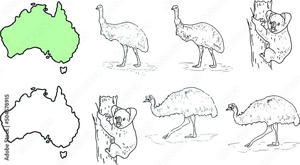 Fototapeta premium Animals Australia graphic illustration hand drawn koala ostrich emu isolated on white background set 